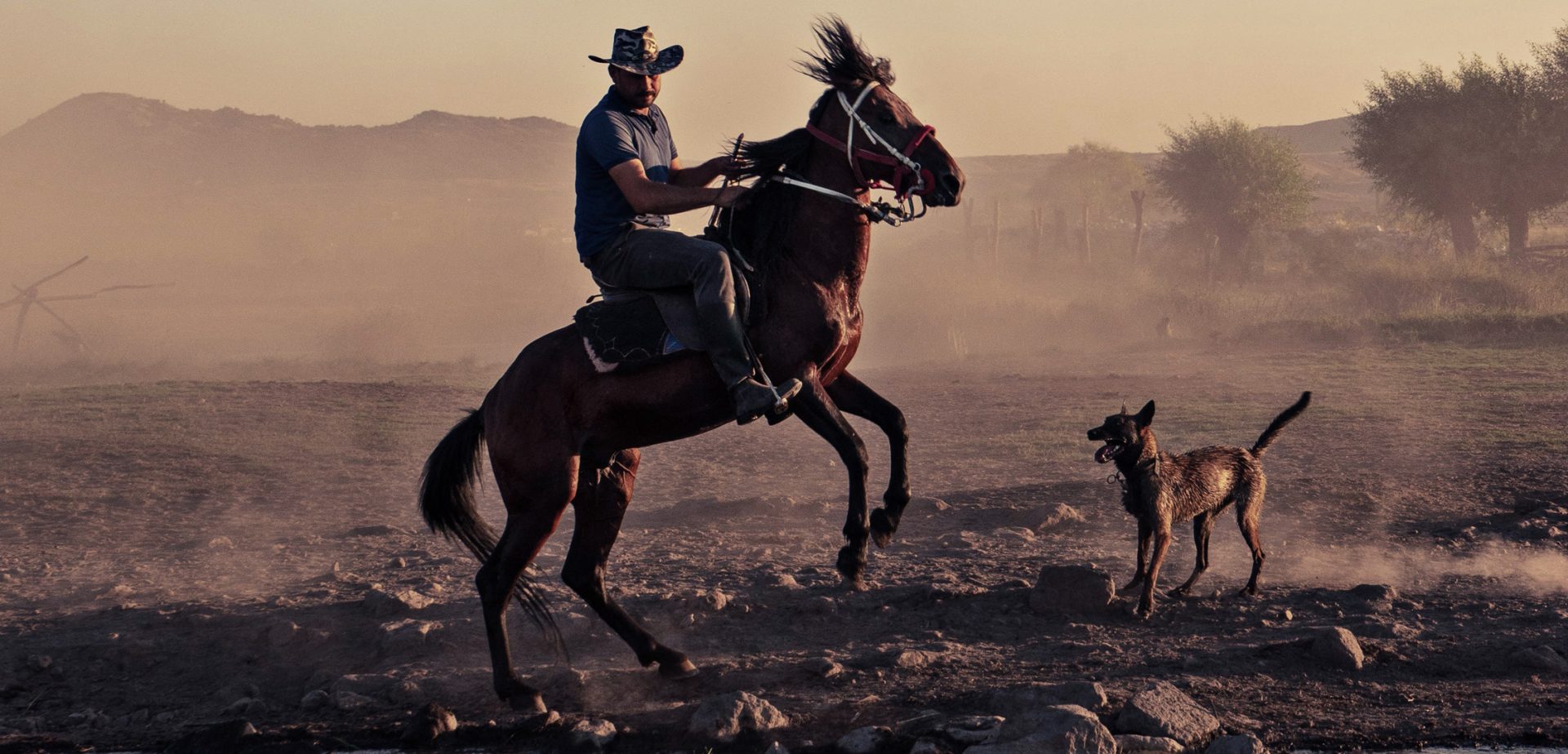 The Bond Between Men and Dogs: A Timeless Connection of Loyalty and Love